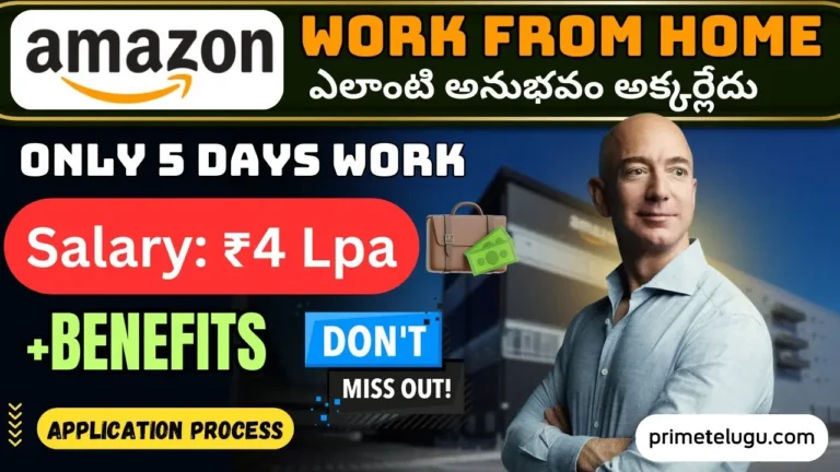 Amazon is Hiring for Transaction Risk Investigator (Work from Home) – Seasonal Role (6 Months)